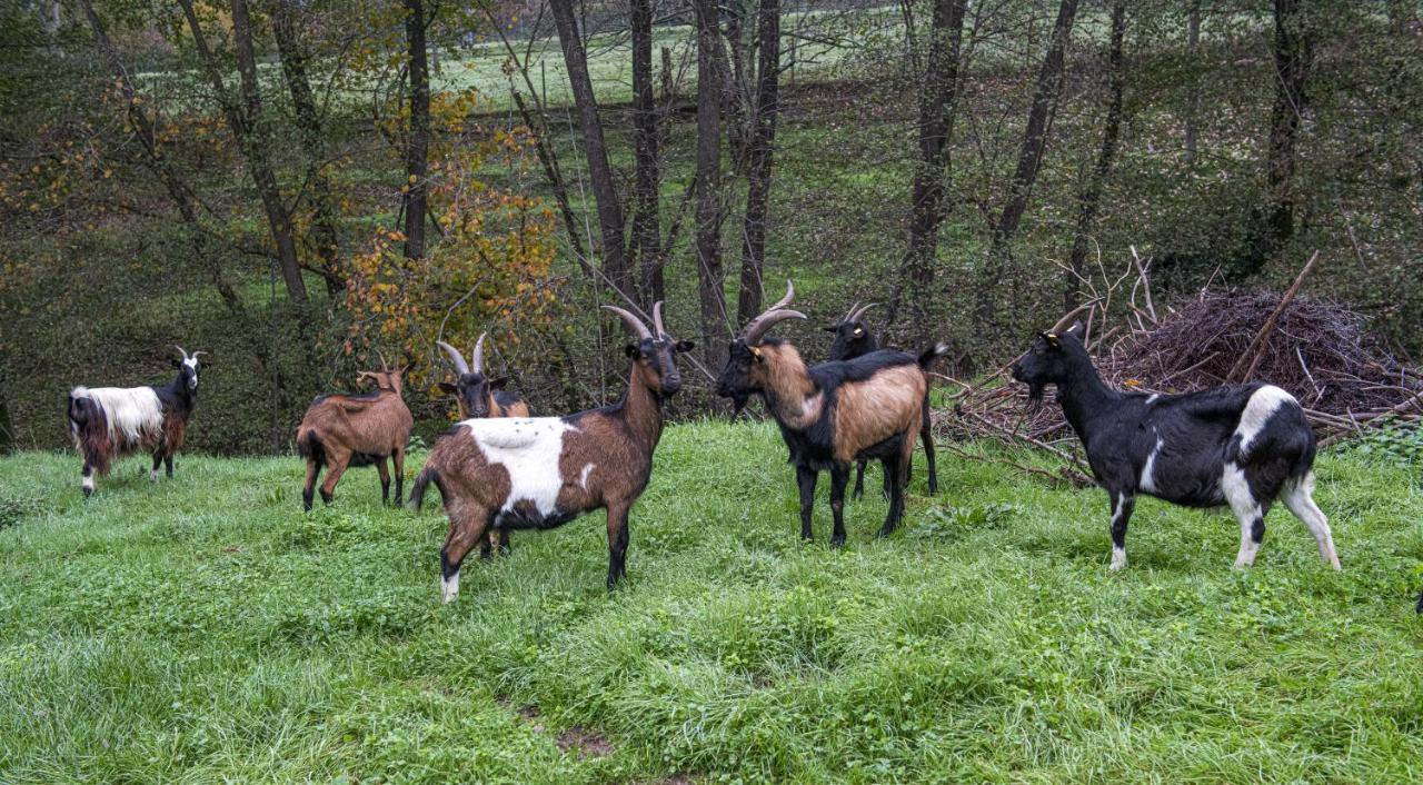 Agriturismo Il Bardellino Fivizzano Eksteriør billede