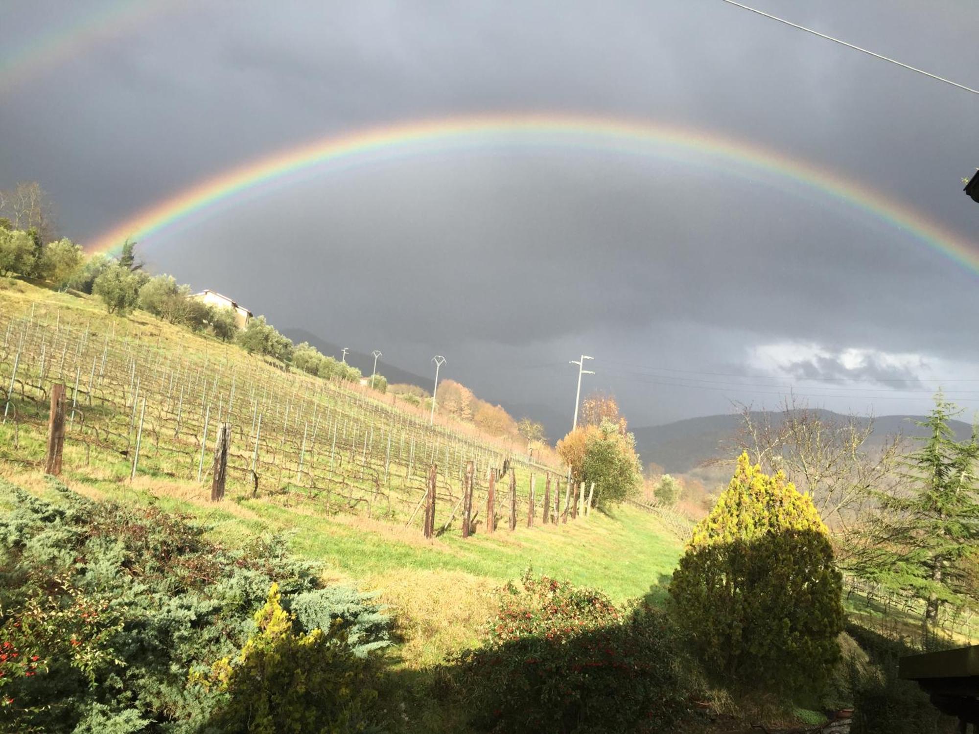 Agriturismo Il Bardellino Fivizzano Eksteriør billede