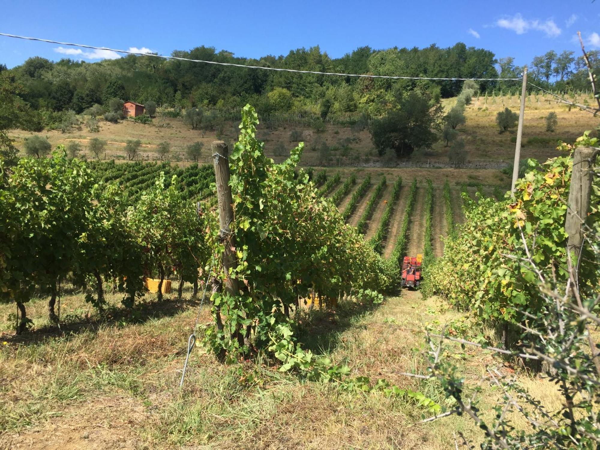 Agriturismo Il Bardellino Fivizzano Eksteriør billede