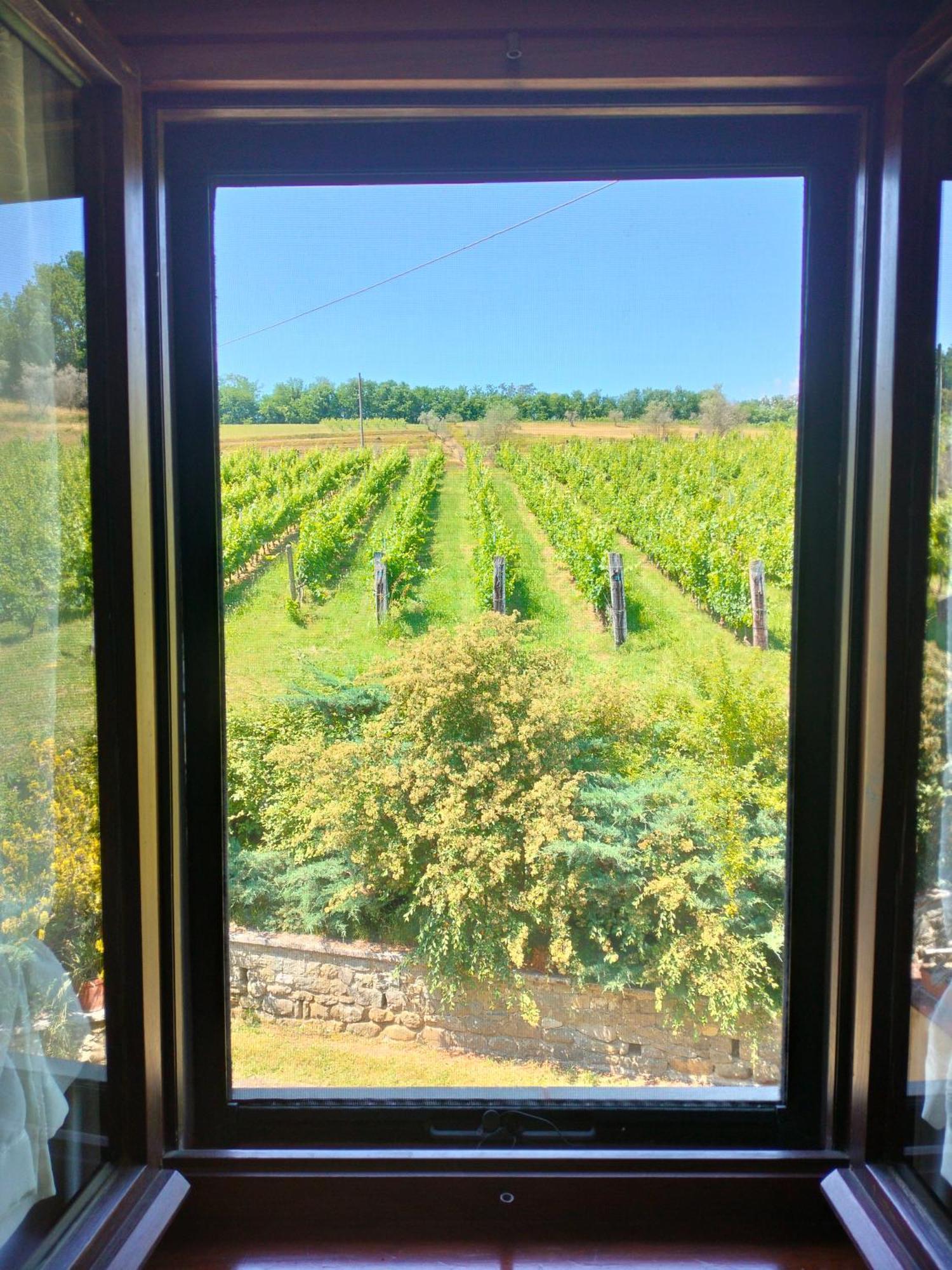 Agriturismo Il Bardellino Fivizzano Eksteriør billede