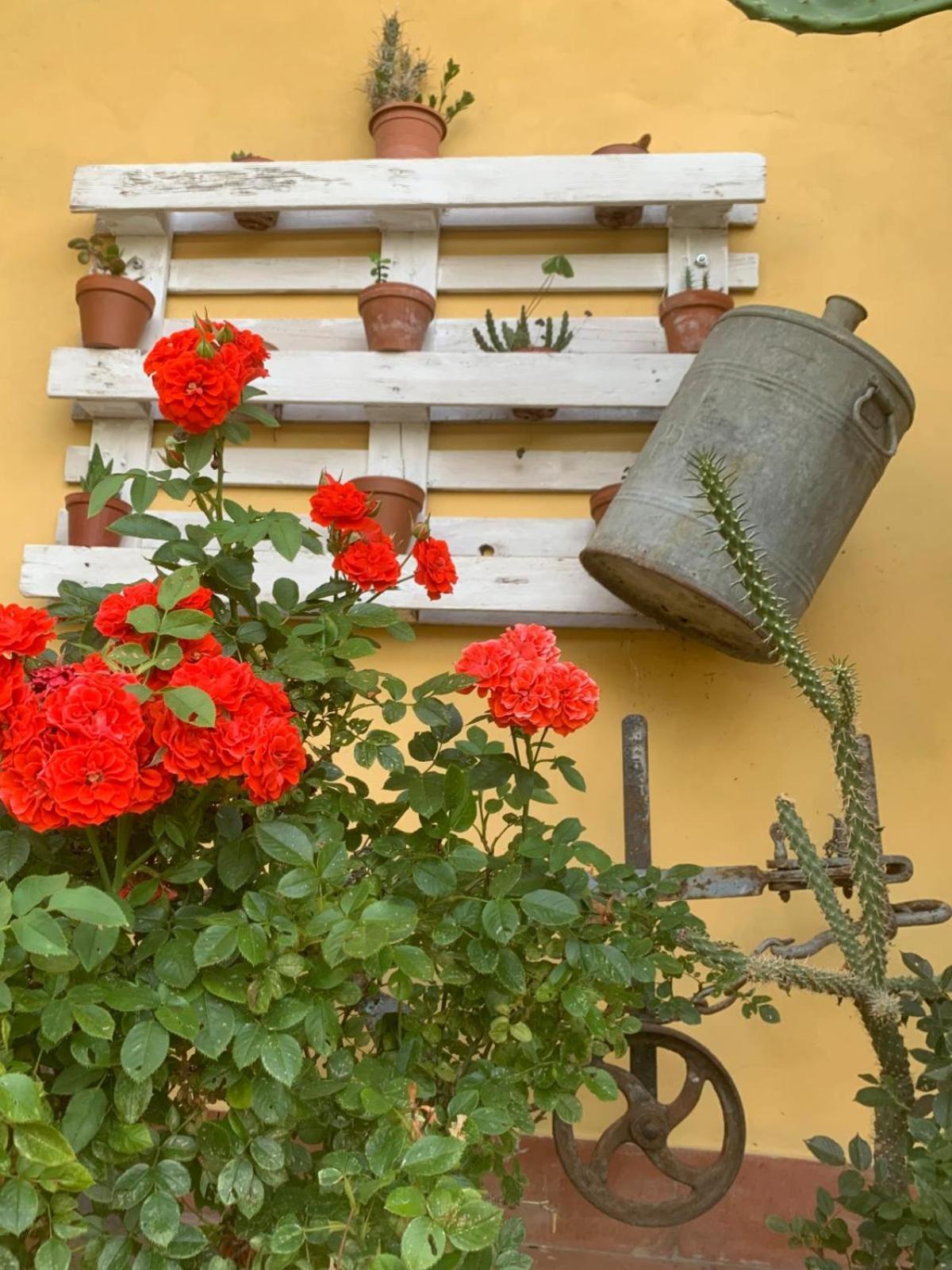 Agriturismo Il Bardellino Fivizzano Eksteriør billede