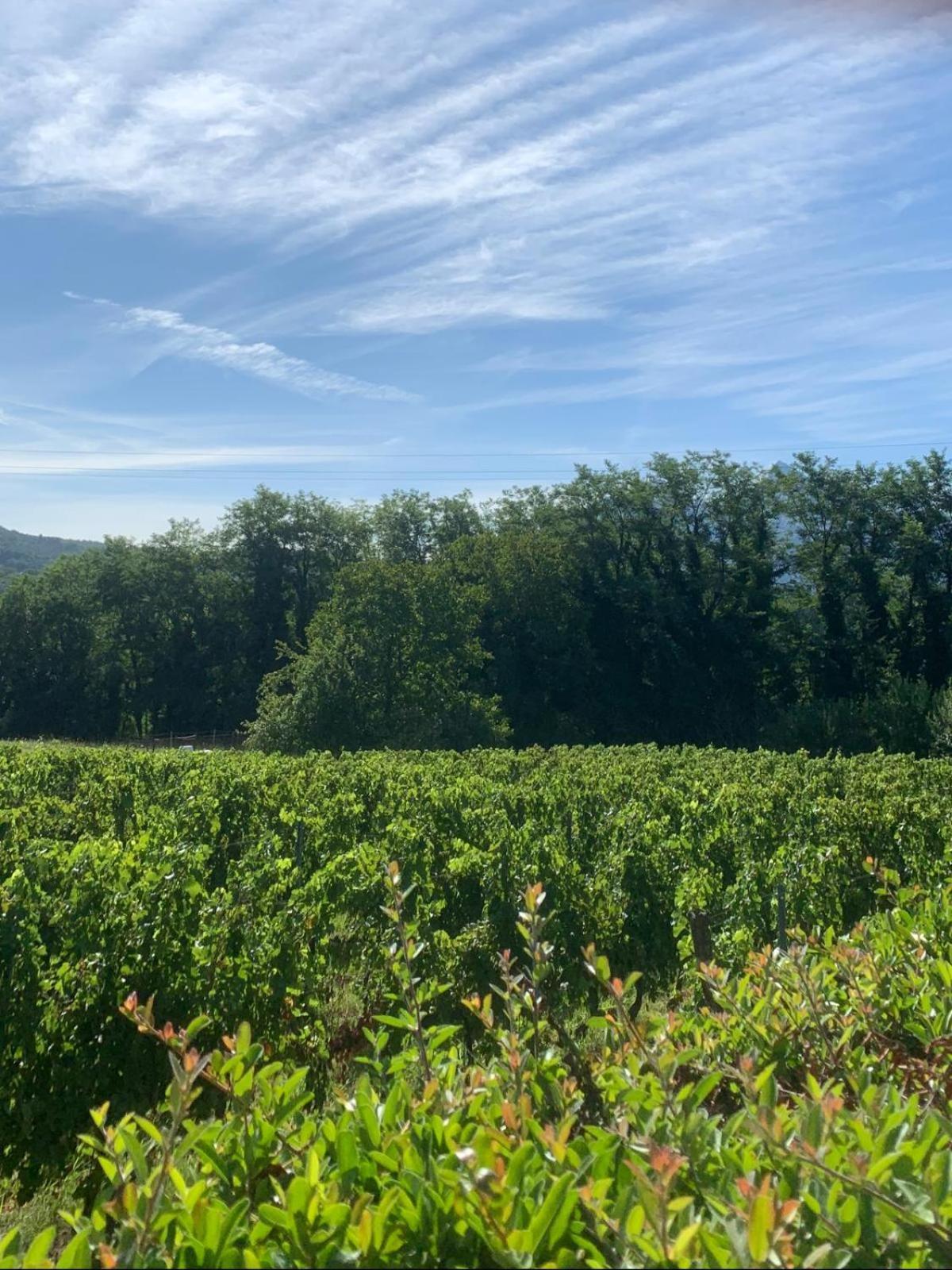 Agriturismo Il Bardellino Fivizzano Eksteriør billede