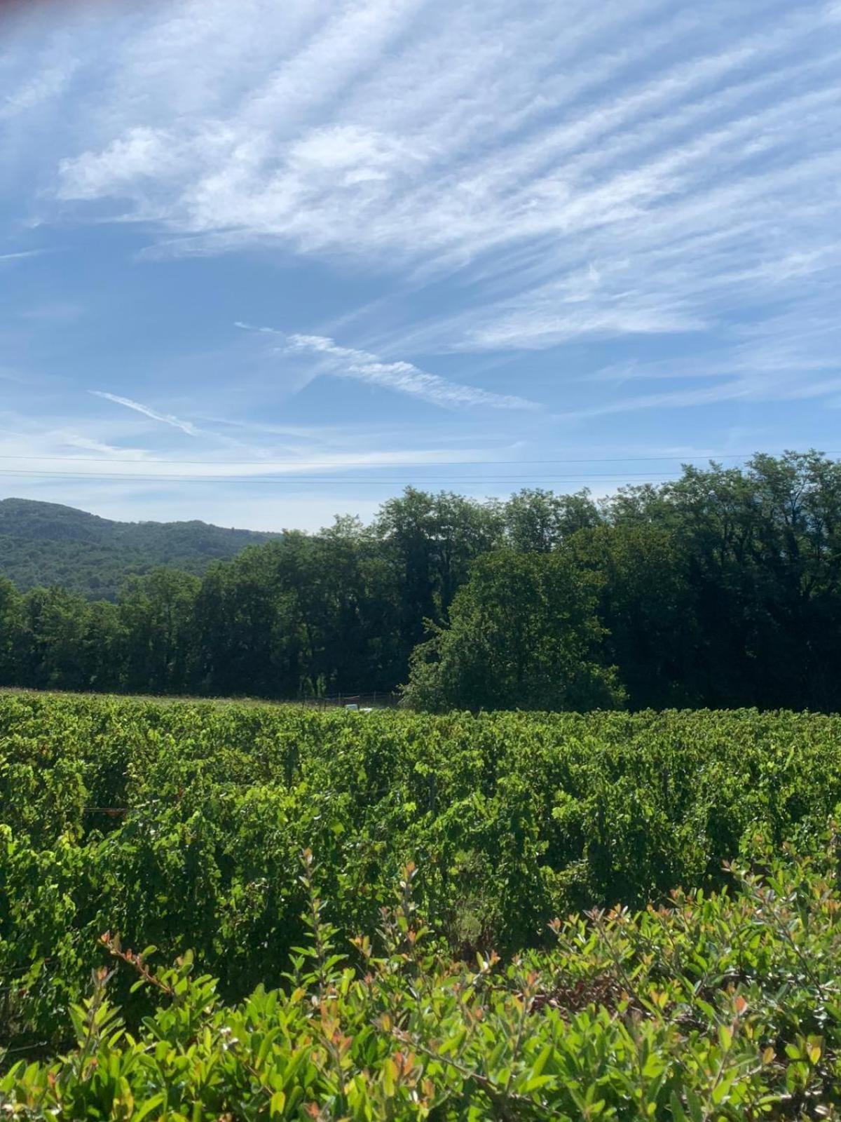 Agriturismo Il Bardellino Fivizzano Eksteriør billede